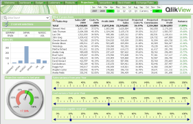 QlikView Dashboard