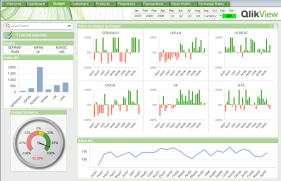 QlikView Dashboard