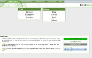 Qlik Software