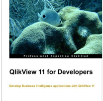 QV11 For Developers