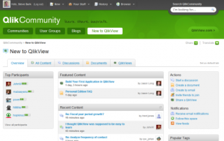 Qlik Software